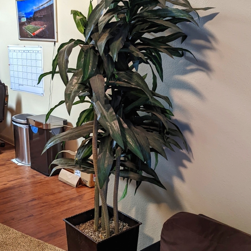 Indoor tree decor (fake, but stylish)!!!
